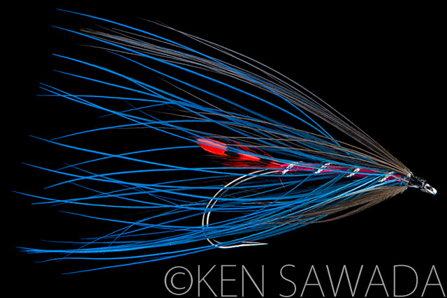 1861 FLIES by KEN SAWADA