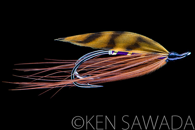 Spring Spey