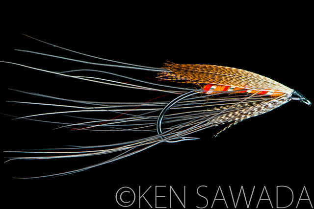 1861 FLIES by KEN SAWADA