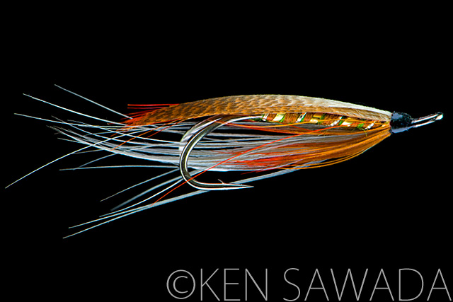 1861 FLIES by KEN SAWADA
