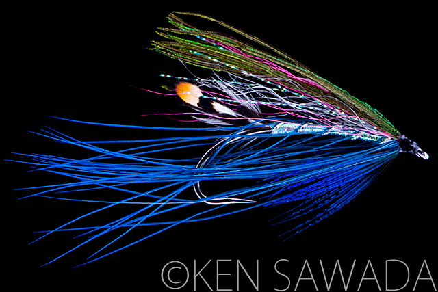 1861 FLIES by KEN SAWADA