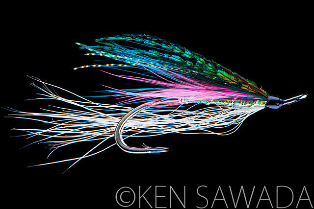 1861 FLIES by KEN SAWADA