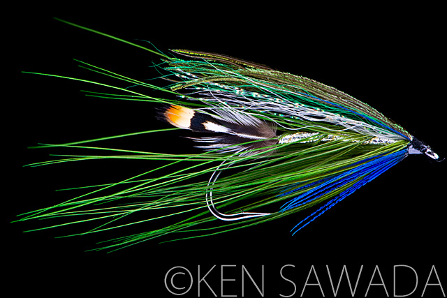 1861 FLIES by KEN SAWADA