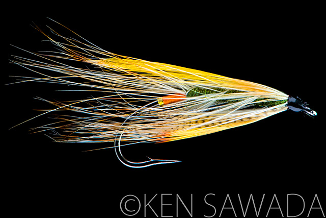 1861 FLIES by KEN SAWADA