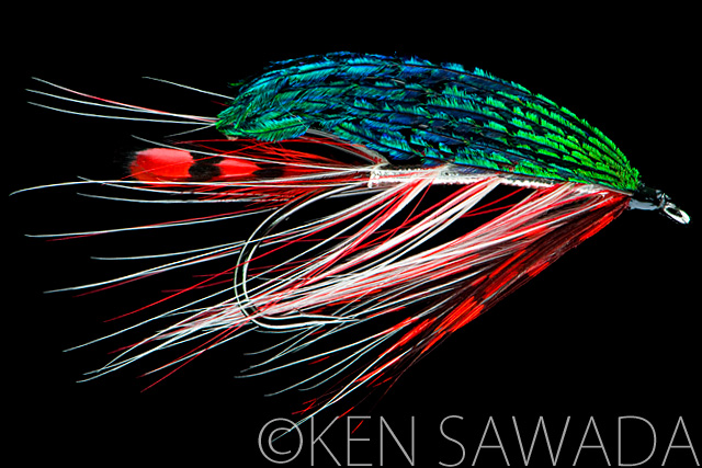 1861 FLIES by KEN SAWADA