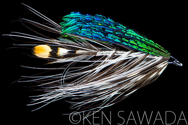 1861 FLIES by KEN SAWADA