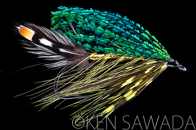 1861 FLIES by KEN SAWADA