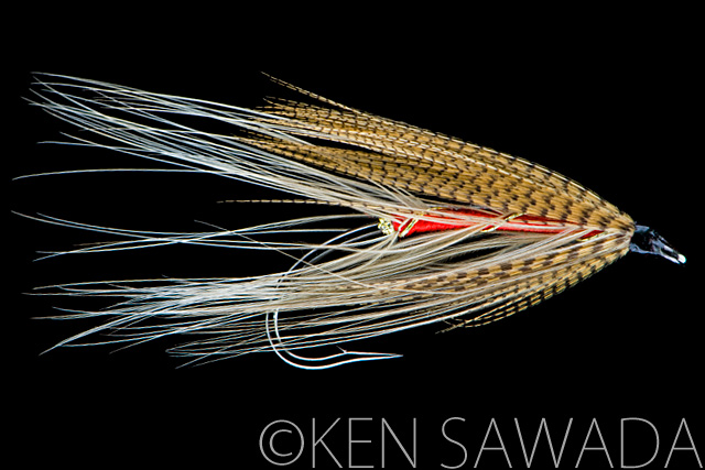 1861 FLIES by KEN SAWADA