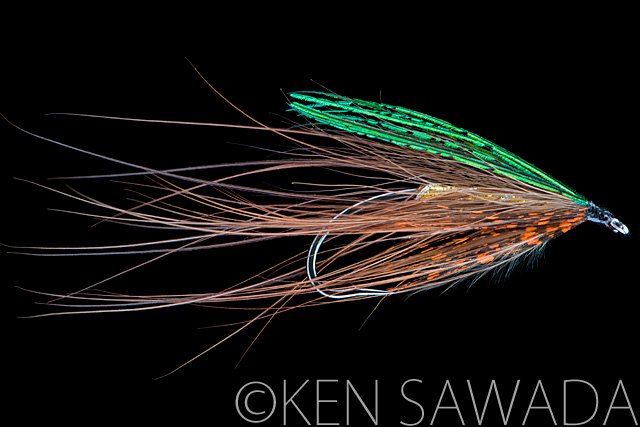 1861 FLIES by KEN SAWADA