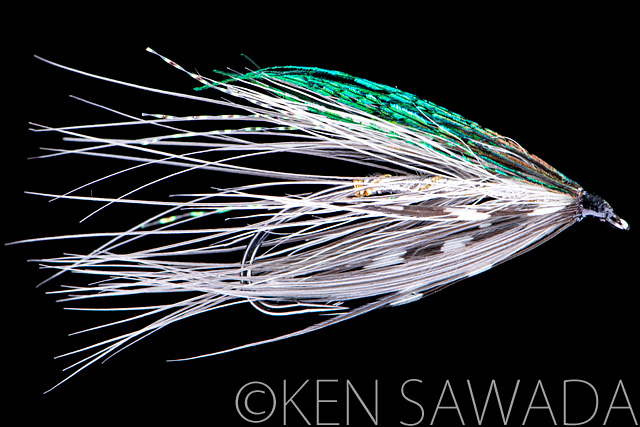 1861 FLIES by KEN SAWADA