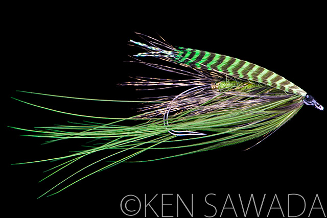 1861 FLIES by KEN SAWADA