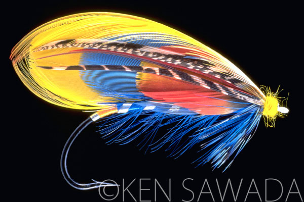 1861 FLIES by KEN SAWADA