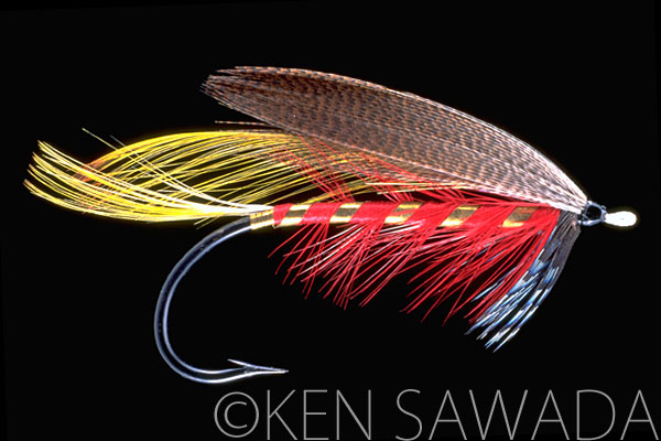 1861 FLIES by KEN SAWADA