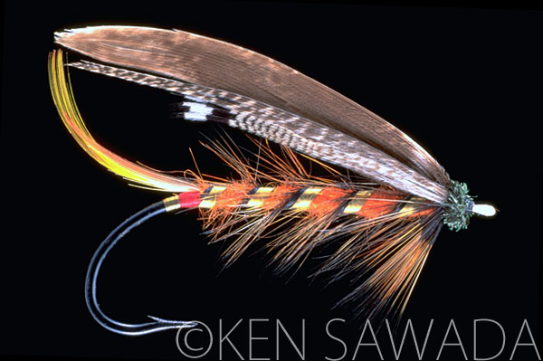 1861 FLIES by KEN SAWADA