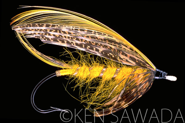 Golden Canary for the river in Norway