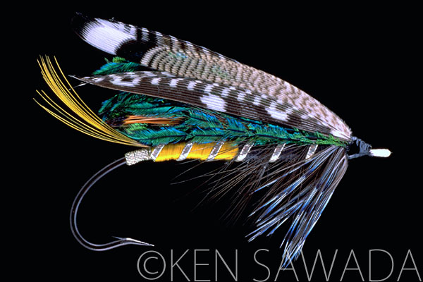 Peacock Fly by J. Wright
