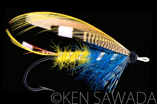 Blue Wasp for the river Earn