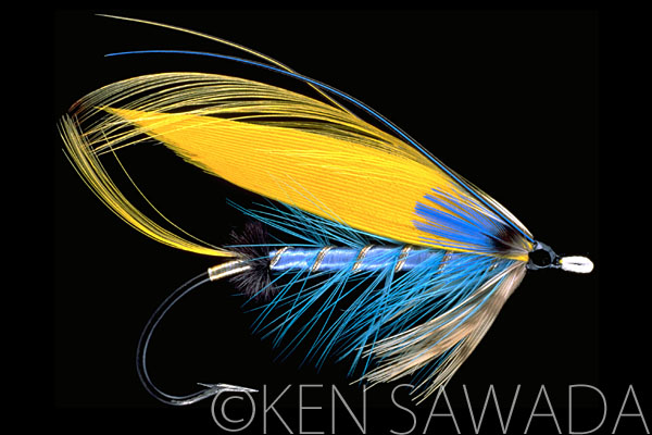 1861 FLIES by KEN SAWADA