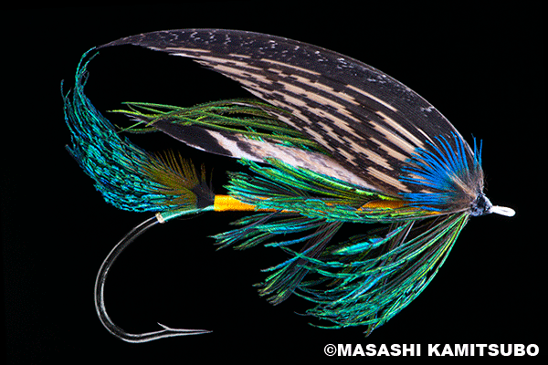 Masashi Kamitsubo