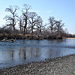 MONGOLIA 33