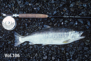 fly_fisherman