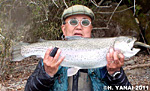yanai