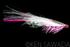 SEASON`S FLIES