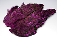 Guinea Fowl Complete Skin