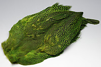 Guinea Fowl Complete Skin