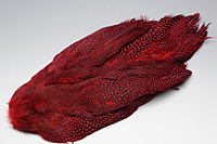 Guinea Fowl Complete Skin