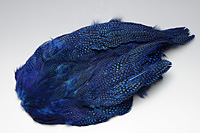 Guinea Fowl Complete Skin