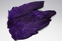 Guinea Fowl Complete Skin