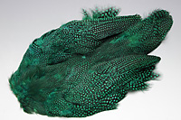 Guinea Fowl Complete Skin