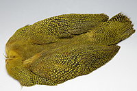 Guinea Fowl Complete Skin