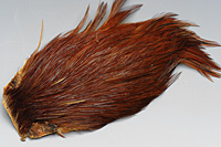 Rhode Island Red Hackle Cape