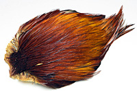 Rhode Island Red Hackle Cape