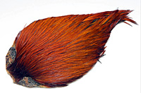 Rhode Island Red Hackle Cape