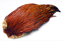 Rhode Island Red Hackle Cape