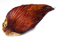 Rhode Island Red Hackle Cape