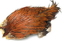 Rhode Island Red Hackle Cape