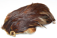Rhode Island Red Hackle Cape