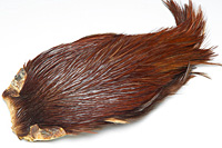 Rhode Island Red Hackle Cape