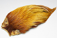 Rhode Island Red Hackle Cape