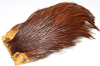 Rhode Island Red Hackle Cape