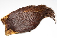 Rhode Island Red Hackle Cape