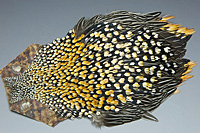 Jungle Cock Complete Neck