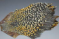 Jungle Cock Complete Neck