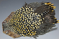 Jungle Cock Complete Neck