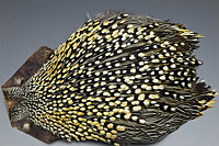 Jungle Cock Complete Neck