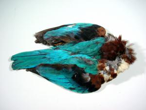 Blue Kingfisher Complete Skin